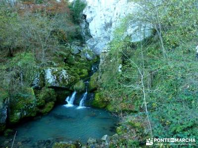 Parques Naturales Urbasa-Andía y Aralar - Nacedero del Urederra; excursiones organizadas desde madr